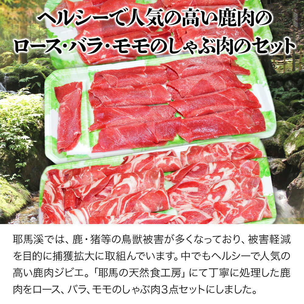 【ふるさと納税】 耶馬溪ジビエセット 鹿肉しゃぶ用3点（ロース・バラ・モモ）合計600g 耶馬の天然食工房 しゃぶしゃぶ肉 大分県産 九州産 国産 冷凍 送料無料／熨斗対応可 お歳暮 お中元 など