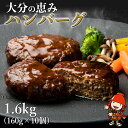 【ふるさと納税】大分の恵みハンバーグ 1.6kg 160g 10個 牛肉 豚肉 ハンバーグ おかず お弁当 惣菜 冷凍 大分県産 九州産 国産 共通返礼品 中津市 豊後高田市 日出町 佐伯市 杵築市 竹田市 国…