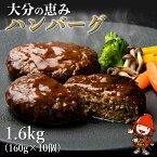 【ふるさと納税】大分の恵みハンバーグ 1.6kg (160g×10個) 牛肉 豚肉 ハンバーグ おかず お弁当 惣菜 冷凍 大分県産 九州産 国産 共通返礼品 中津市 豊後高田市 日出町 佐伯市 杵築市 竹田市 国東市 大分市 送料無料【2023年1月20日より順次発送予定】