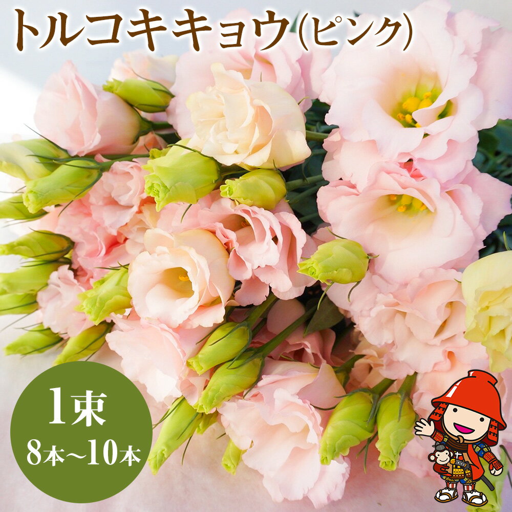 1位! 口コミ数「0件」評価「0」【期間限定】生産農家直送の八重咲き中〜大輪フリル トルコキキョウ 花束 (ピンク) 1束 8本〜10本 大分県中津 送料無料／熨斗対応可 御･･･ 