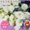 【ふるさと納税】【先行予約】生産農家直送の八重咲き中〜大輪フリル トルコキキョウ 花束 (白) ラッピング 1束 8本〜10本 ブーケ 生花 お花 フラワーギフト 大分県中津 送料無料／熨斗対応可 御祝 など【発送は2023年2月中旬から順次～2023年6月中旬まで】