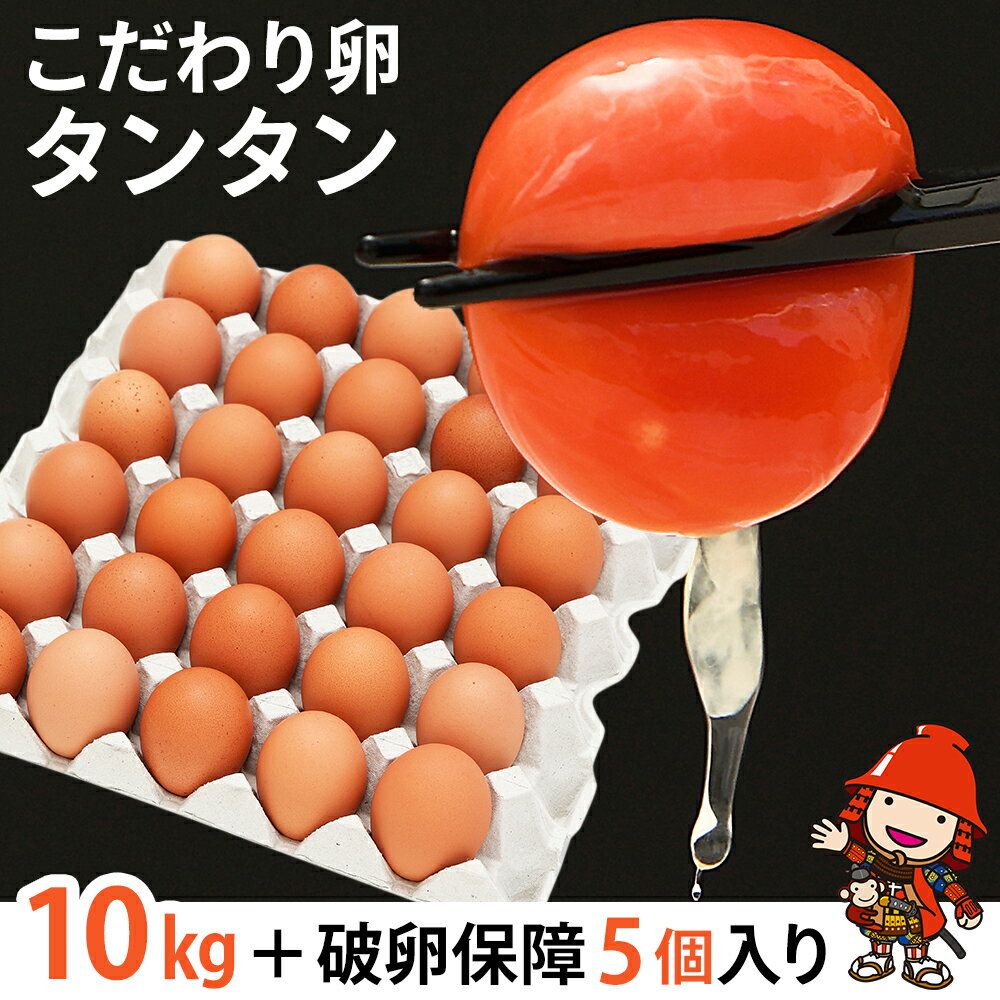 【ふるさと納税】 こだわり卵タンタン (10kg+破卵保障5個入り) たまご タマゴ 玉子 生卵 鶏卵 赤鶏 新鮮 濃厚 採れたて 生みたて 大分県産 九州産 中津市 国産 送料無料/熨斗対応可 お歳暮 お中元 など
