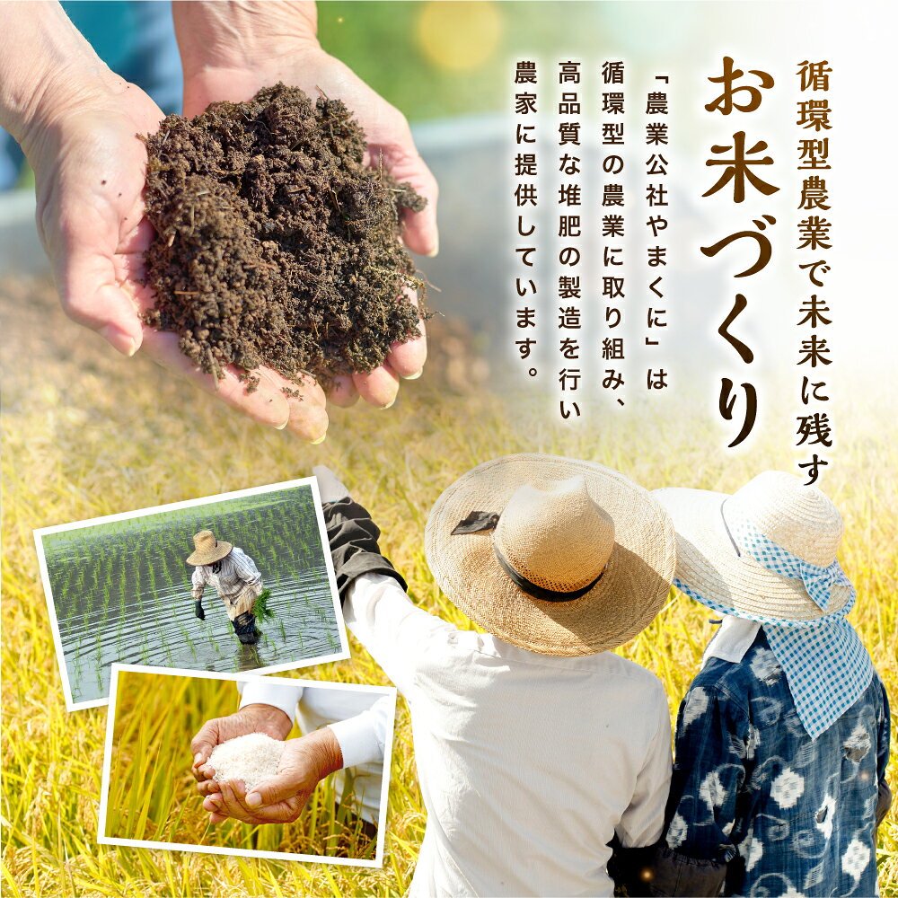 【ふるさと納税】【寄附使途限定】【数量限定】大分県中津市産 やまくに誉 (ほまれ...