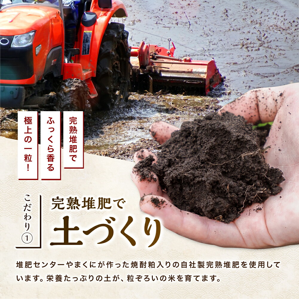 【ふるさと納税】【寄附使途限定】【数量限定】大分県中津市産 やまくに誉 (ほまれ...