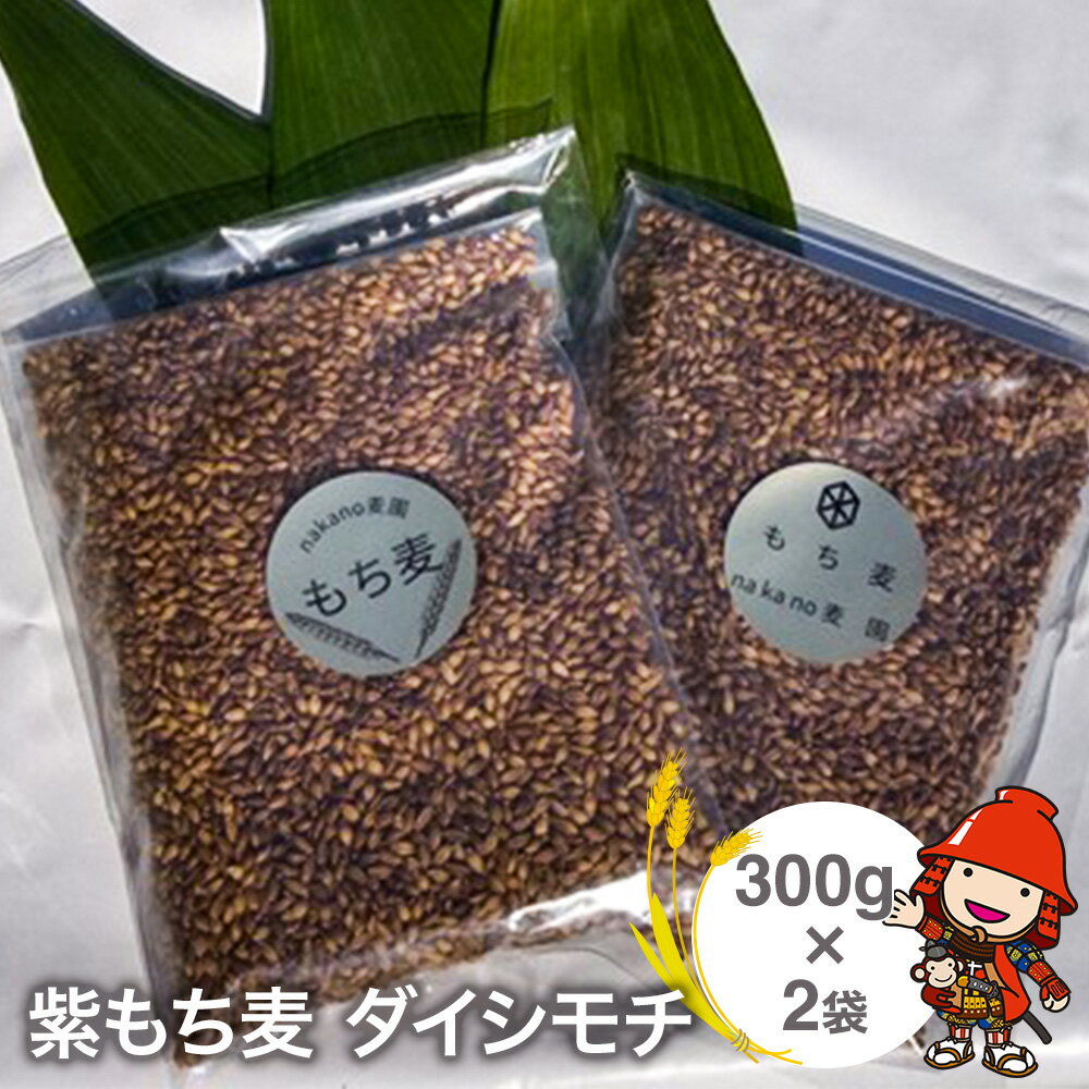 【ふるさと納税】もち麦 国産 紫もち麦 ダイシモチ 300g×2袋 大分県中津 もち麦ご飯 大麦 雑穀 食物繊維 九州産 送料無料