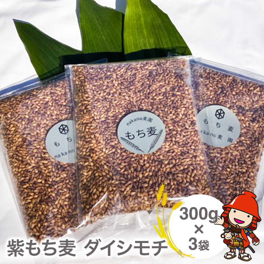 【ふるさと納税】もち麦 国産 紫もち麦 ダイシモチ 300g×3袋 大分県中津 もち麦ご飯 大麦 雑穀 食物繊維 九州産 送料無料