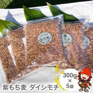 【ふるさと納税】山々と源流の山国町「nakano麦園」の希少な『紫もち麦』ダイシモチ300g×5袋 | 紫もち麦 もち麦 麦 ダイシモチ 紫麦 雑穀 穀物 希少 国産 麦ご飯 1500g 1500グラム 1.5kg 1.5キロ 大分県 中津市 送料無料