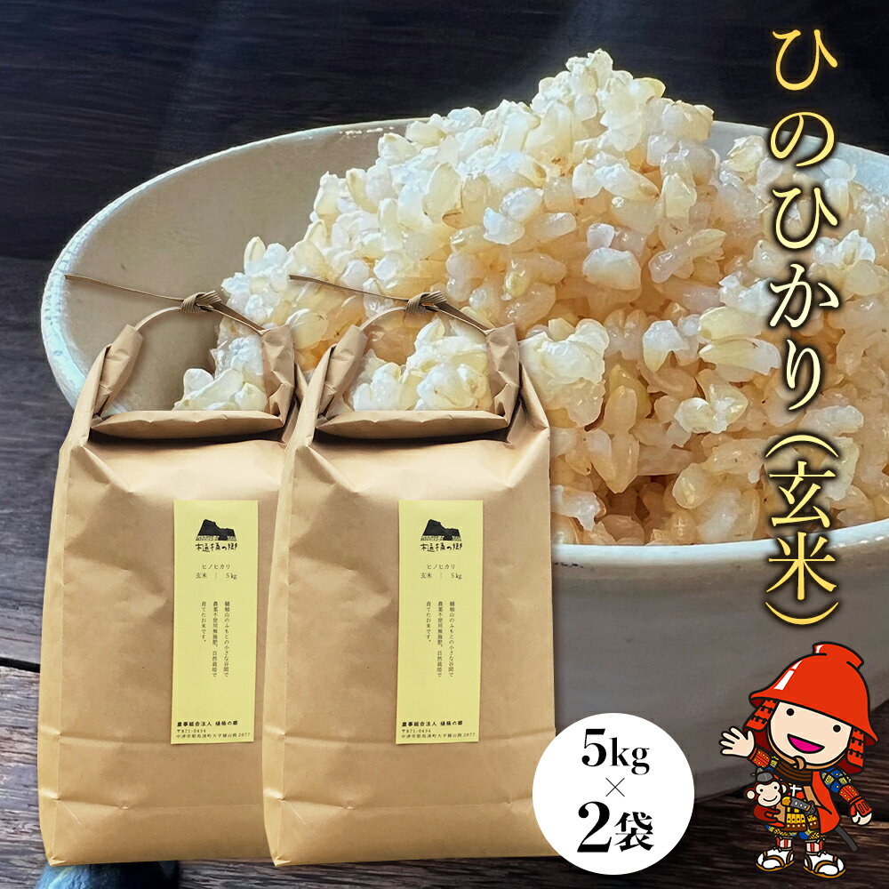 令和6年産 ひのひかり(玄米) 10kg 大分県中津市耶馬溪産 栽培期間中 農薬不使用 ヒノヒカリ 国産 お米 米 ご飯 白米 農家直送 大分県産 九州産 中津市 国産 送料無料[発送は、2024年11月下旬〜2025年4月上旬まで]