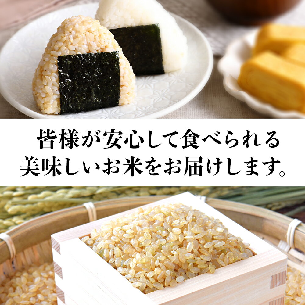 【ふるさと納税】 令和6年産 ひのひかり(玄米) 10kg 大分県中津市耶馬溪産 栽培期間中 農薬不使用 ヒノヒカリ 国産 お米 米 ご飯 白米 農家直送 大分県産 九州産 中津市 国産 送料無料【発送は、2024年11月下旬～2025年4月上旬まで】 3