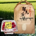 【ふるさと納税】耶馬渓米と昔ながらの梅干しセット お米 5kg ヒノヒカリ ひとめぼれのいずれか 手作り梅干し1kg | お米 米 おこめ こめ 白米 精米 耶馬渓米 ご飯 ごはん 梅干し 梅 手作り セット 大分県 中津市