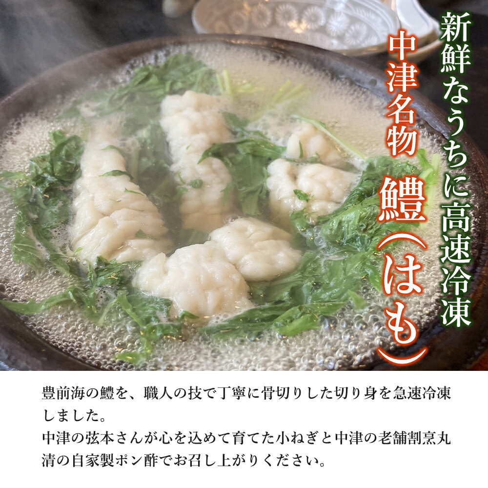 【ふるさと納税】中津名物の鱧しゃぶセット（2人前）鱧 はも ポン酢 果汁 特産 名物 ギフト 冷凍 魚 しゃぶしゃぶ 鍋 おかず 大分県産 九州産 中津市 国産 送料無料／熨斗対応可お歳暮 お中元 など【発送2024年5月～2025年2月末の予定】