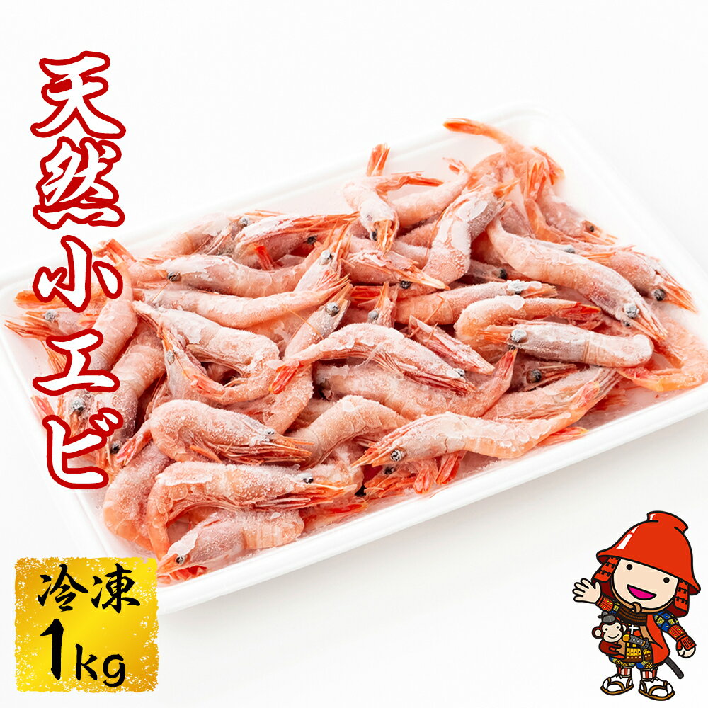 大分県中津産 天然 小エビ 冷凍 合計1kg 500g 2パック 海老 エビ 天然 旬 冷凍 大分県中津産 九州 産地直送 送料無料 発送は22年7月下旬 23年2月上旬の予定 ふるさと納税バイブル