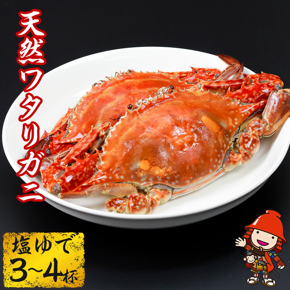 【ふるさと納税】大分県中津産 天然ワタリガニ 塩ゆで 3〜4杯 800g〜900g 蟹 カニ 大分県産 九州産 中津市 国産 送料無料【発送は 2024年10月中旬～2025年3月31日まで】