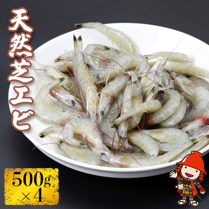 天然芝エビ 500g×4(冷凍) 海老 エビ 大分県産 九州産 中津市 国産 送料無料