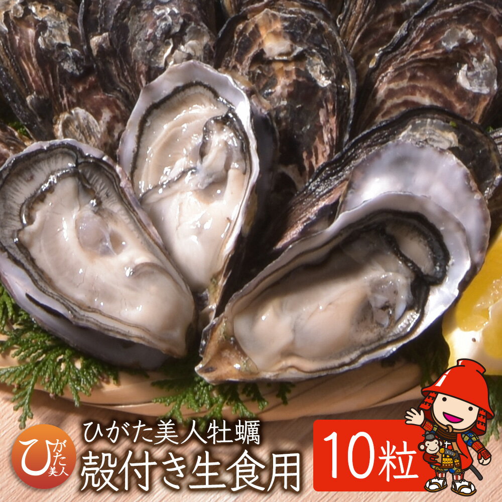 市場 ふるさと納税 鍛え牡蠣 3kg 広島県 合計 冷凍 江田島市 3袋 1kg Lサイズ 寺本水産 市場 ふるさと納税 鍛え牡蠣 3kg 広島県 合計 冷凍 江田島市 3袋 1kg Lサイズ 寺本水産