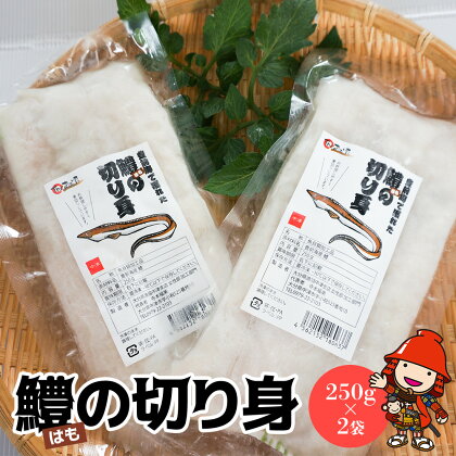 鱧の切り身 250g×2袋 合計500g 大分県中津産 鱧 はも ハモ 魚の切り身 お鍋 水炊き フライ 天ぷら 産地直送 大分県中津産 九州産 送料無料【発送は2024年6月1日～2024年11月30日までの予定】