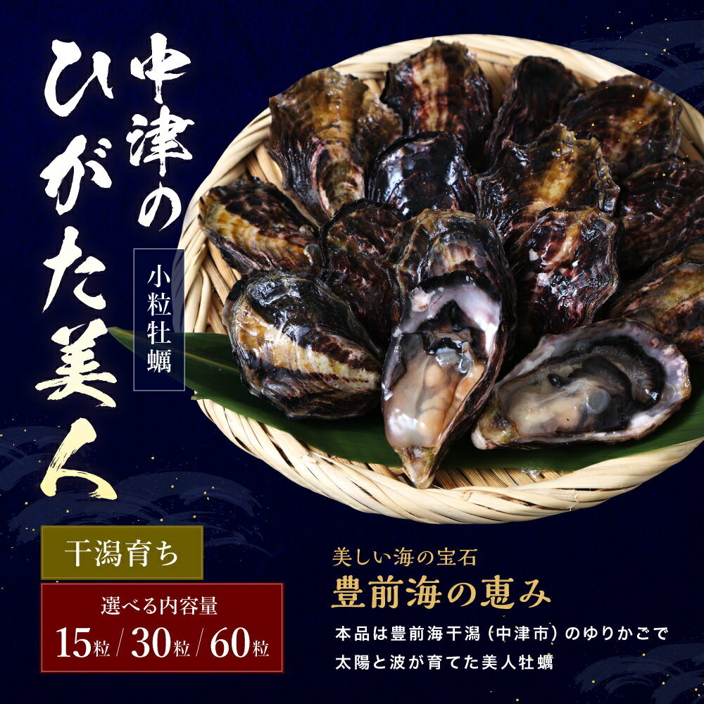 【ふるさと納税】【期間限定】中津ひがた美人 牡蠣 選べる 内容量 15粒 / 30粒 / 60粒 養殖 | 冷蔵 かき オイスター 酒の肴 つまみ おかず 大分県産 九州産 国産 大分県 中津市 送料無料＜発送期間：令和7年12月～令和8年4月末までの予定＞