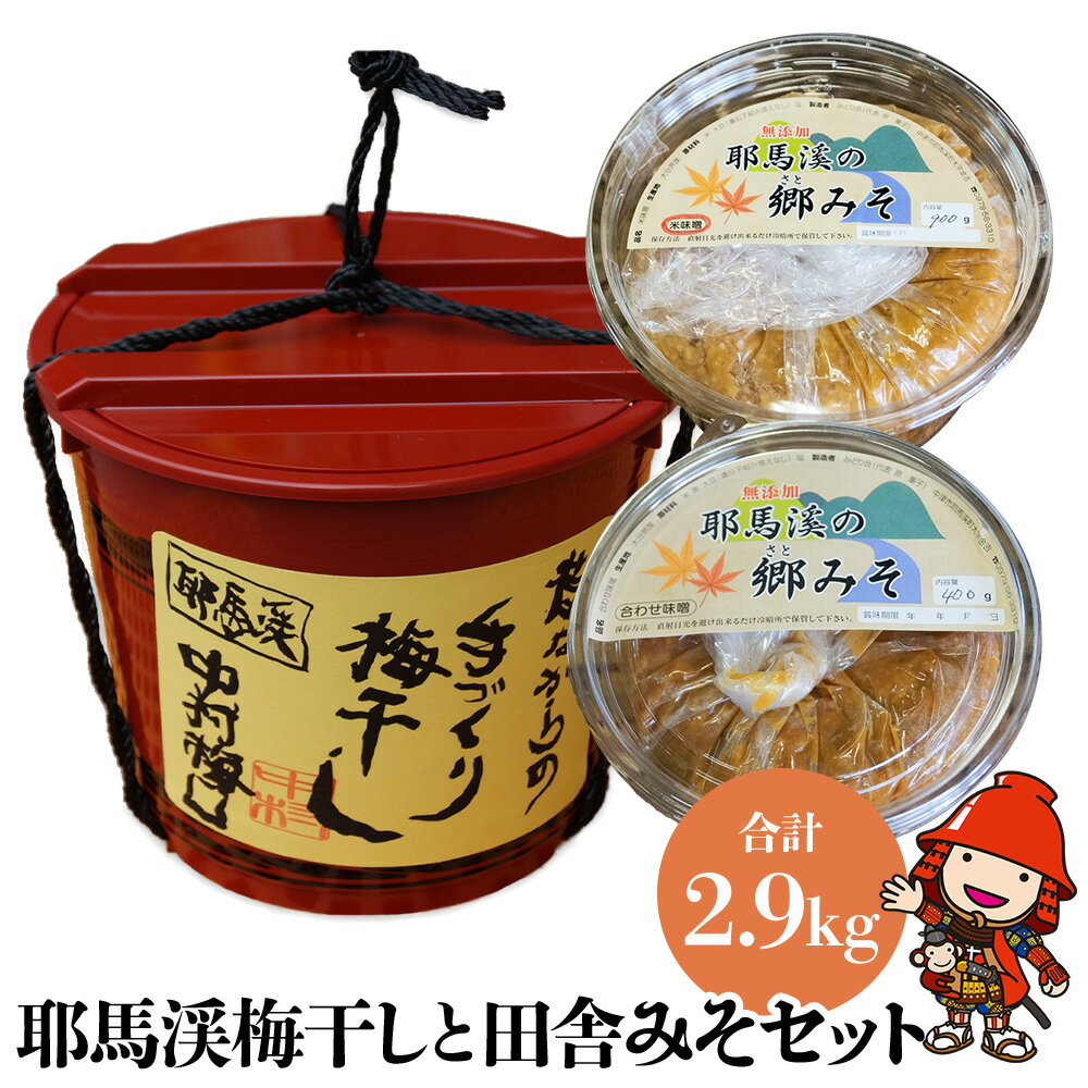 【ふるさと納税】C10.耶馬渓梅干しと田舎みそセット 梅干し 1.3kg 米味噌 合わせ味噌 郷みそ工房 中村梅園 自家製シソ 梅干 大分県産 九州産 中津市 国産 送料無料／熨斗対応可 お歳暮 お中元 など