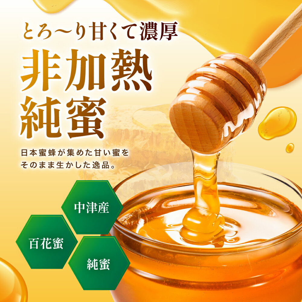 【ふるさと納税】中津市産 日本蜜蜂の非加熱純蜜 100g | 国産 日本 蜂蜜 非加熱 はちみつ ハチミツ 大分県 中津市
