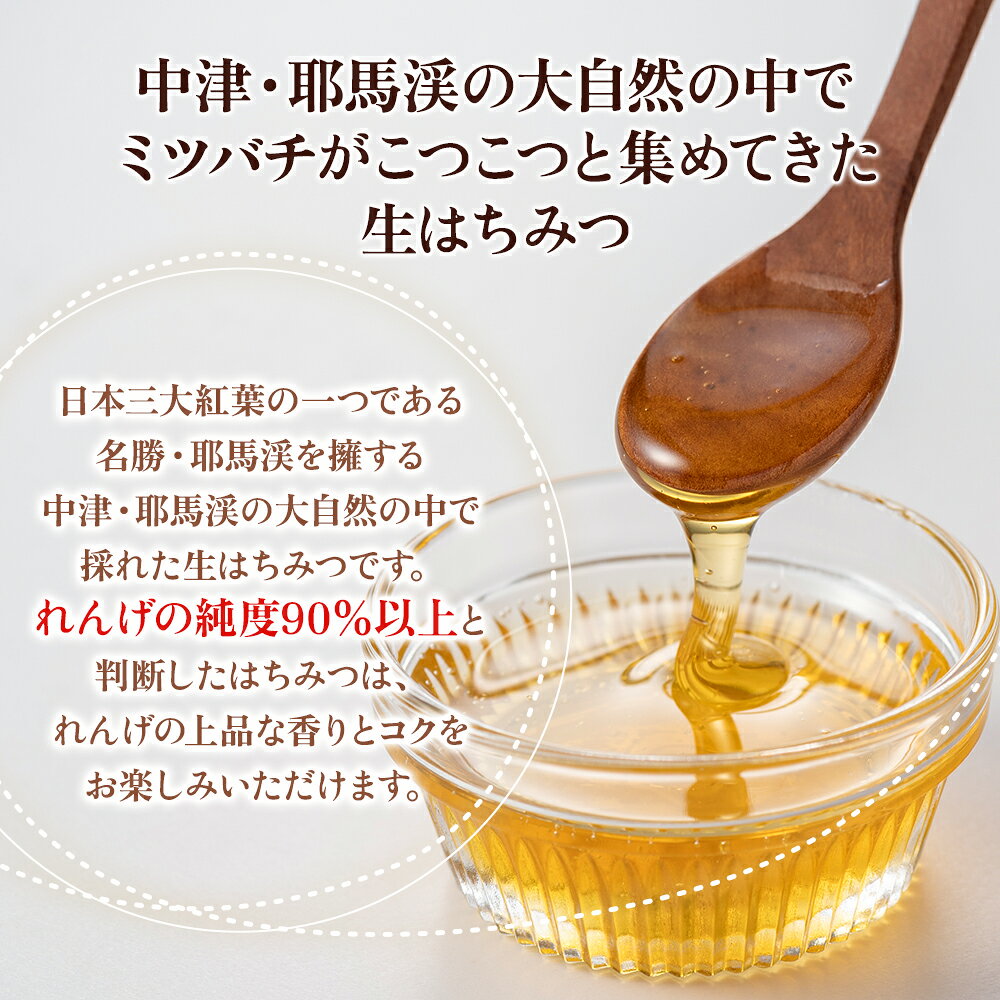 【ふるさと納税】中津・耶馬渓のはちみつ れんげ 400g × 1瓶 時田養蜂場 | 国産 蜂...