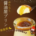 【ふるさと納税】みたらし醤油屋プリン 100g×6個 濃厚な味わい 窯蒸しプリン 完熟醤油 みたらし 和風プリン スイーツ 和スイーツ プリ..