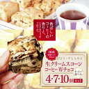 【ふるさと納税】国産発酵バター仕込み濃厚リッチな九州産生クリームスコーン コーヒーWチョコ 選べる 内容量 4個 〜 10個 セット | お菓子 菓子 おかし ...