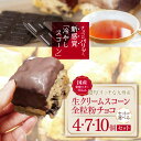 【ふるさと納税】国産発酵バター香る濃厚リッチな九州産生クリームスコーン 全粒粉チョコ 選べる 4個 〜 10個 セット | お菓子 菓子 おかし 洋菓子 焼き菓...