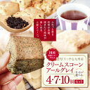 【ふるさと納税】国産発酵バター仕込みの濃厚リッチな九州産生クリームスコーン アールグレイ 選べる 内容量 4個 〜 10個 | お菓子 菓子 おかし 洋菓子 焼...