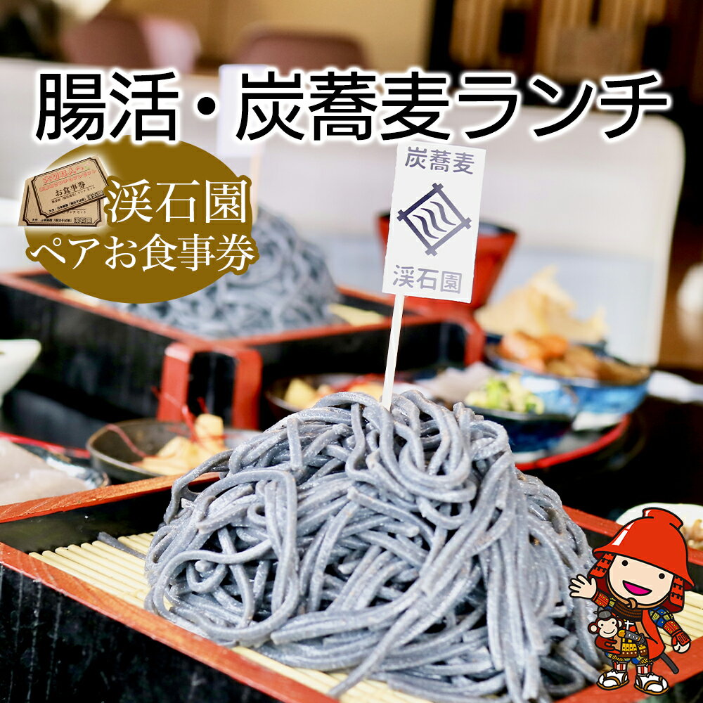 日本庭園・腸活そば屋「渓石園」腸活・炭蕎麦ランチセット ペア お食事券 食事券 ペアチケット ランチ チケット 蕎麦料理 利用券 コース料理 大分県産 九州産 中津市 国産 送料無料