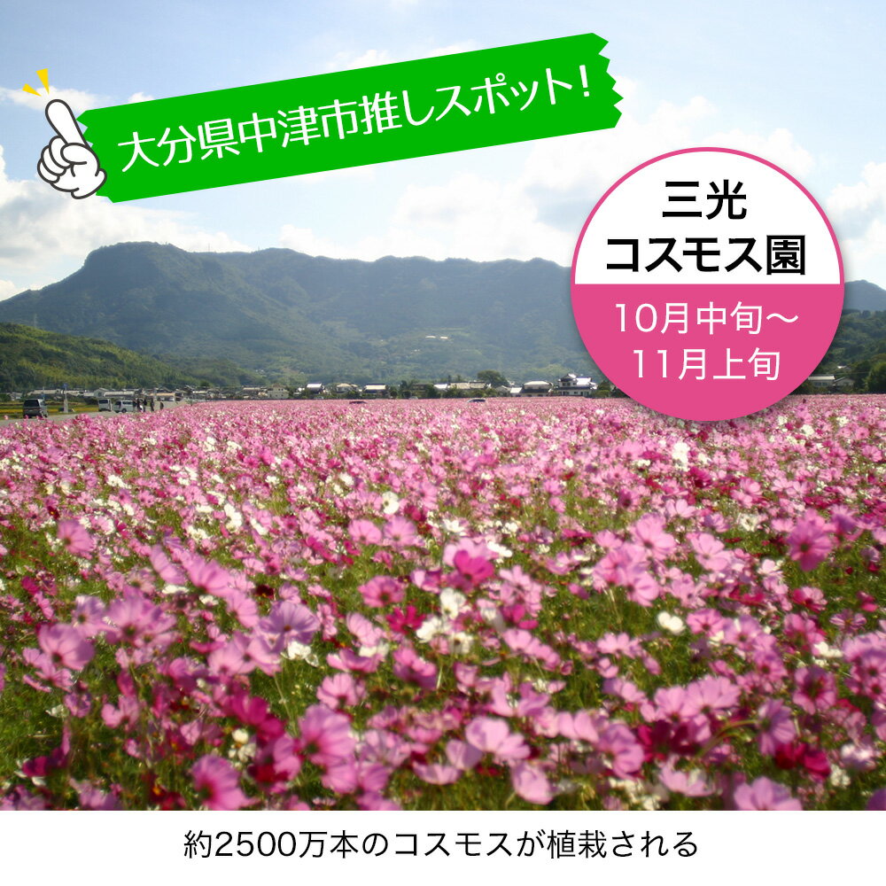 【ふるさと納税】大分県中津市の対象施設で使える楽天トラベルクーポン寄付額10,000円その2