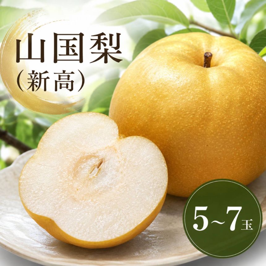 山国梨 (新高)梨 4〜7玉 [先行予約] | なし ナシ 産地直送 果物 くだもの フルーツ 大分県産 九州産 中津市 国産 送料無料[発送:2026年10月中旬〜2026年11月下旬頃の予定]