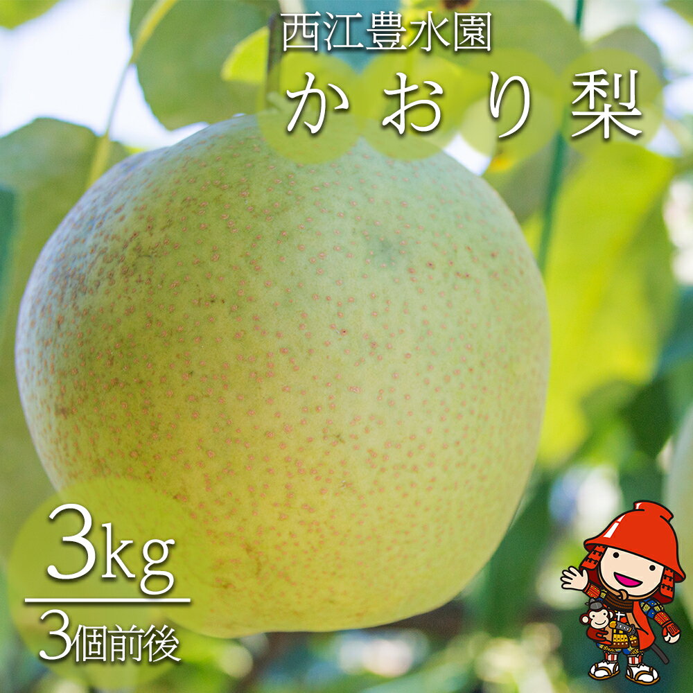 【ふるさと納税】西江豊水園のかおり梨 約3kg ( 3個前後 ) | フルーツ 果物 くだもの 果実 数量限定 旬 完熟梨 梨 なし ナシ かおり かおり梨 和梨 3kg 3キロ 新鮮 産地直送 大分県産 九州産 国産 大分県 中津市 送料無料【発送は2025年9月10日~9月18日頃までの予定】