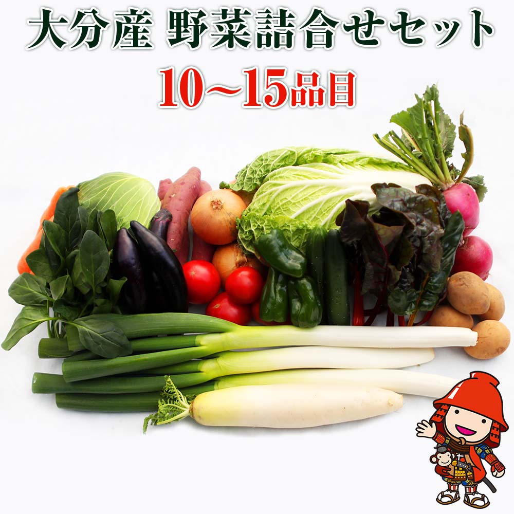 九州野菜セット 大分県中津 春夏秋冬野菜セット10〜15品 JA直売所直送野菜 新鮮 トマト ホウレンソウ 小松菜 水菜 チンゲン菜 ネギ キャベツ