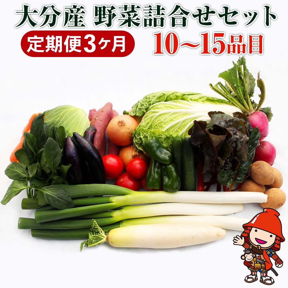 【3ヶ月定期便】九州野菜セット 大分県中津産 春夏秋冬野菜セット10〜15品×3回 毎月1回 JA直売所直送野菜 新鮮 産地直送 送料無料