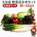 【ふるさと納税】【3ヶ月定期便】九州野菜セット 大分県中津産 春夏秋冬野菜セット10〜15品×3回 毎月1回 JA直売所直送野菜 新鮮 産地直送 送料無料 その1