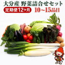 【ふるさと納税】【12ヶ月定期便】九州野菜セット 大分県産 