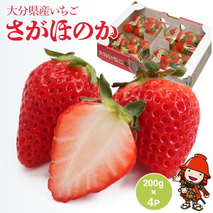 【ふるさと納税】【先行予約・期間限定】大分県産いちご さがほのか 約 800g ( 200g×4パック ) | 苺 イチゴ いちご ベリー フルーツ 果物 くだもの 九州産 大分県産 国産 産地直送 大分県 中津市 送料無料【発送は2026年2月15日~2026年3月末】