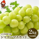 【ふるさと納税】【先行予約】【数量限定】宮内果樹観光園のシャインマスカット 約2kg 5房前後 | フルーツ 果物 くだもの ぶどう ブドウ 葡萄 シャインマスカット マスカット 産地直送 大分県 中津市 国産 送料無料【発送は2025年8月5日~2025年9月10日頃の予定】