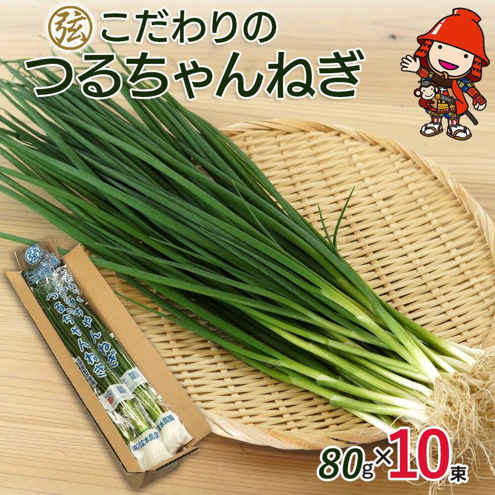 弦本農園のこだわりのつるちゃんねぎ 80g×10束 葱 ねぎ ネギ 小葱 小ねぎ 小ネギ 薬味 大分県産 九州産 中津市 国産 送料無料/熨斗対応可 お歳暮 お中元 など