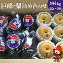 【ふるさと納税】【先行予約】糖度計使用 巨峰・梨 詰め合わせ 約4kg (巨峰5〜6個、梨6個) ブドウ ぶどう 葡萄 果物 フルーツ くだもの ギフト プレゼ...