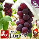 【ふるさと納税】種なし 巨峰ブドウ (訳あり) 約3kg (7〜12房) | <先行予約> ブドウ ぶどう 葡萄果物 フルーツ くだもの 産地直送 甘い 大分県...