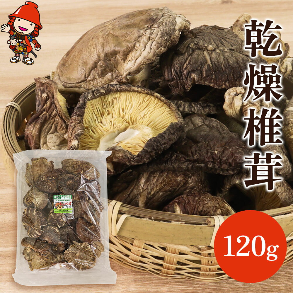 【ふるさと納税】乾燥椎茸 徳用 120g 原木栽培 乾しいたけ 干し椎茸 干ししいたけ 乾燥しいたけ 干しシイタケ 大分県産 九州産 中津市 国産 送料無料／熨斗対応可 お歳暮 お中元 など