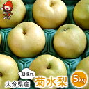 【ふるさと納税】梨 菊水梨 約5kg いわき農園 <先行予約> | 梨 なし 【11度以上】糖度計使用 数量限定 新鮮 産地直送 果物 くだもの フルーツ ギフト 大分県産 九州産 中津市 国産 送料無料【発送は2025年8月下旬~2025年9月中旬までの予定】