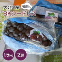 【ふるさと納税】BKシードレス 約 1.5kg ( 2房 ) | いわき農園 葡萄 ぶどう ブドウ 新鮮 産地直送 果物 くだもの フルーツ 朝採れ 大分県産 九州産 大分県 中津市【発送は2025年8月下旬~2025年10月上旬頃までの予定】