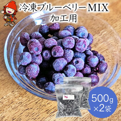 冷凍ブルーベリー MIX 加工用500g×2袋 フルーツ 果物 くだもの ラビットアイ サザンハイブッシュ 大分県産 九州産 中津市 国産 送料無料