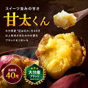 大分県中津市の画像3