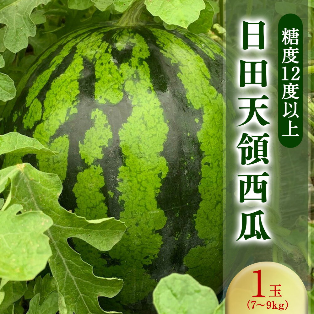 【ふるさと納税】日田天領西瓜 1玉 約7～9kg 100サイズ フルーツ 果物 スイカ 糖度12度以上 常温 6月上旬順次発送 大分県産 日田市産 送料無料