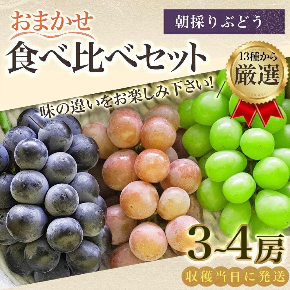 【ふるさと納税】ぶどう おまかせ 食べ比べ セット 3~4房 13種より3～4種 厳選 ブドウ 葡萄 果物 旬 詰め合わせ 大分県 日田市 送料無料 【2024年8月中旬より順次発送予定】 2