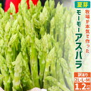 6位! 口コミ数「0件」評価「0」モーモーアスパラ B品 家庭で手頃に！3種食べ比べ 2L L M 6束 合計約1.2kg アスパラガス アスパラ やさい 野菜 サラダ スー･･･ 