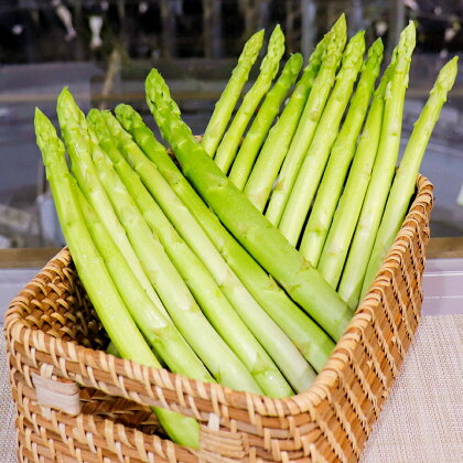 モーモーアスパラ 食べやすい太さの2種セット L M 5束 合計約1.2kg アスパラガス アスパラ やさい 野菜 サラダ スープ パスタ 料理 食べ物 食品 お取り寄せ 酪農牧場 本川牧場 大分県 日田市 送料無料 【2024年3月下旬より発送開始】